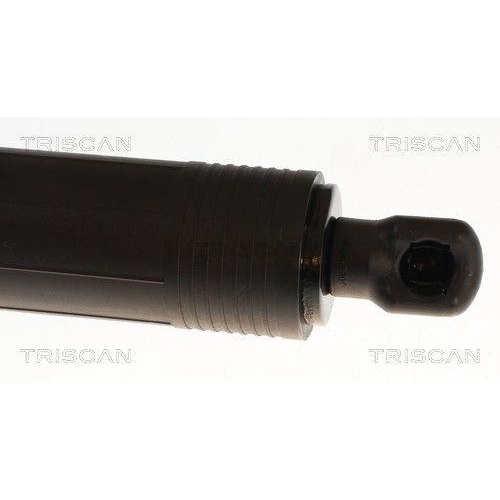 TRISCAN Gasfeder, Koffer-/Laderaum 8710 29346