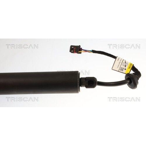 TRISCAN Gasfeder, Koffer-/Laderaum 8710 29349
