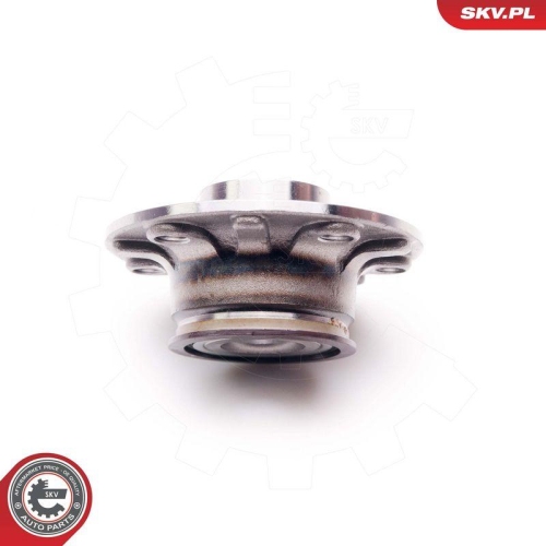ESEN SKV Radlagersatz 29SKV011