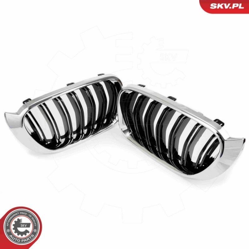 ESEN SKV Kühlergitter