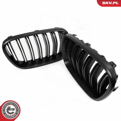 ESEN SKV Kühlergitter