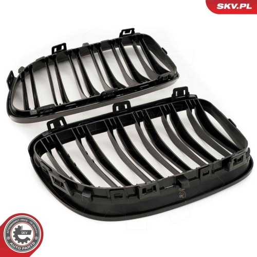 ESEN SKV Kühlergitter