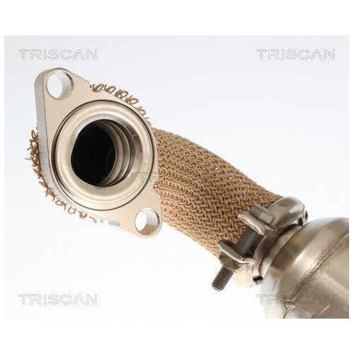 TRISCAN K&uuml;hler, Abgasr&uuml;ckf&uuml;hrung 8813 10059
