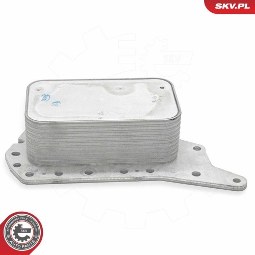 ESEN SKV &Ouml;lk&uuml;hler, Motor&ouml;l 31SKV306