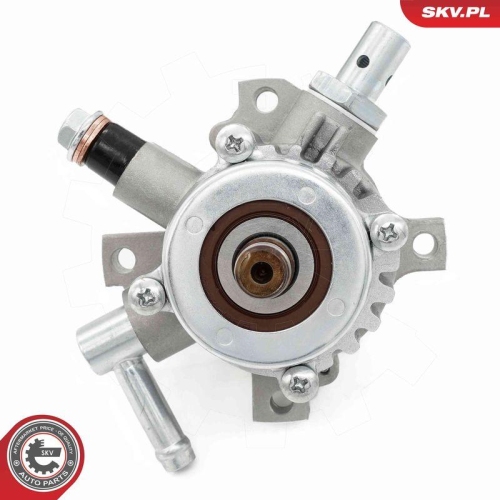 ESEN SKV Unterdruckpumpe, Bremsanlage