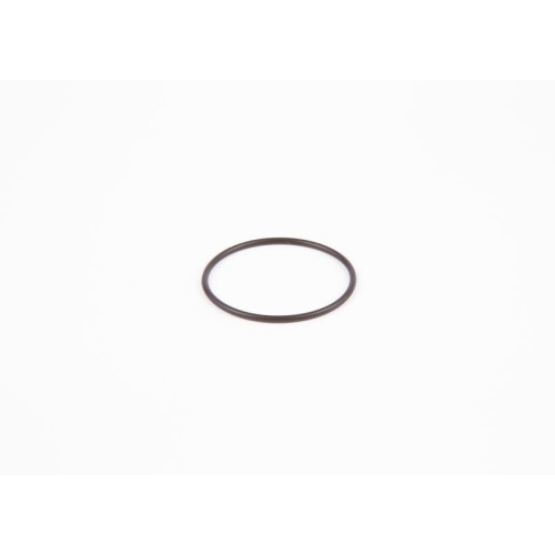 BOSCH Dichtung F 00H 410 535