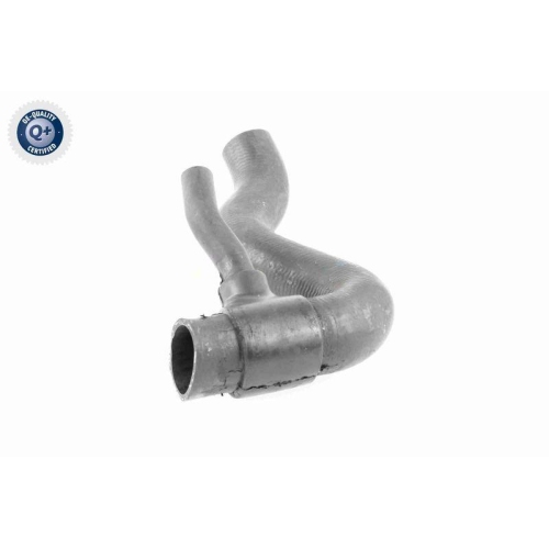 VAICO Kühlerschlauch Q+, Erstausrüsterqualität V30-1951