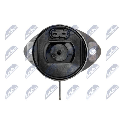 NTY Stellelement, Exzenterwelle (variabler Ventilhub) ERZ-BM-001