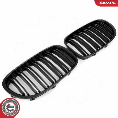 ESEN SKV Kühlergitter