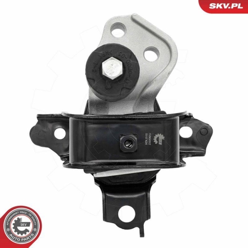 ESEN SKV Lagerung, Motor 75SKV317