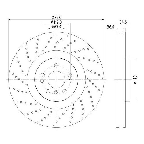 HELLA Bremsscheibe PRO High Carbon 8DD 355 125-041