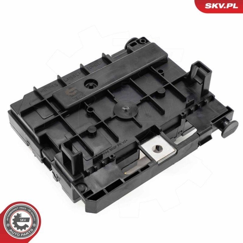 ESEN SKV Steuerger&auml;t, Motormanagement 96SKV323