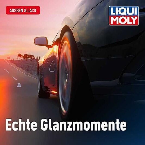 Hartwachs Schutzwachs 500 ml Liqui Moly 21763