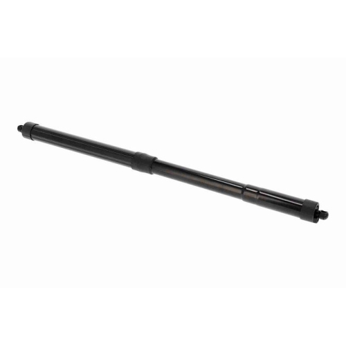 ACKOJA Gasfeder, Koffer-/Laderaum Original ACKOJA Qualit&auml;t