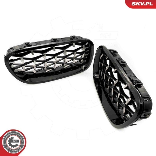 ESEN SKV Kühlergitter
