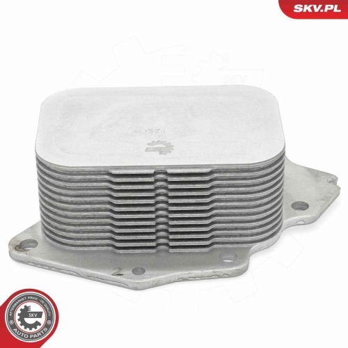 ESEN SKV &Ouml;lk&uuml;hler, Motor&ouml;l 31SKV381