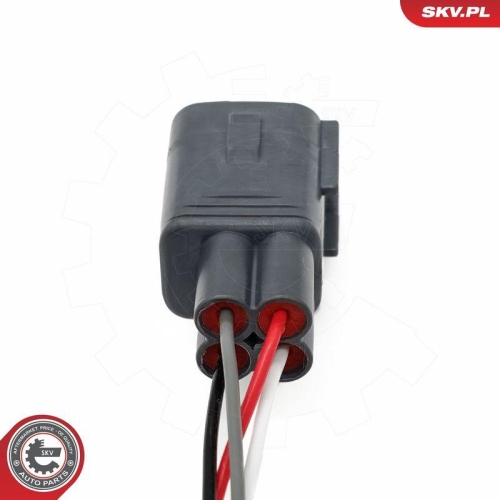 ESEN SKV Lambdasonde 09SKV193