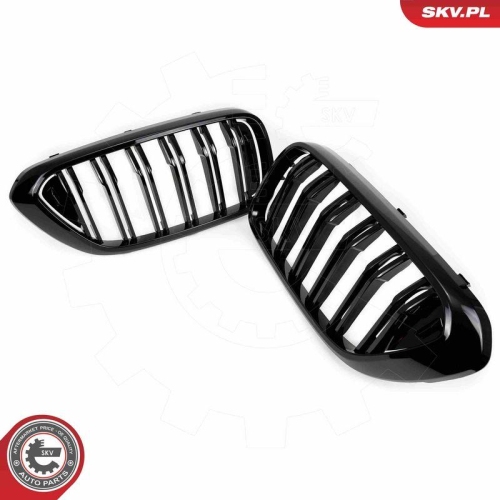 ESEN SKV Kühlergitter