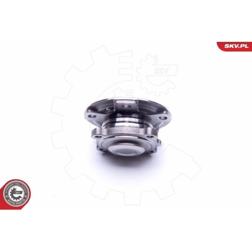 ESEN SKV Radlagersatz