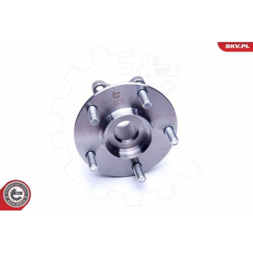 ESEN SKV Radlagersatz