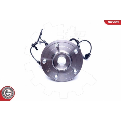 ESEN SKV Radlagersatz