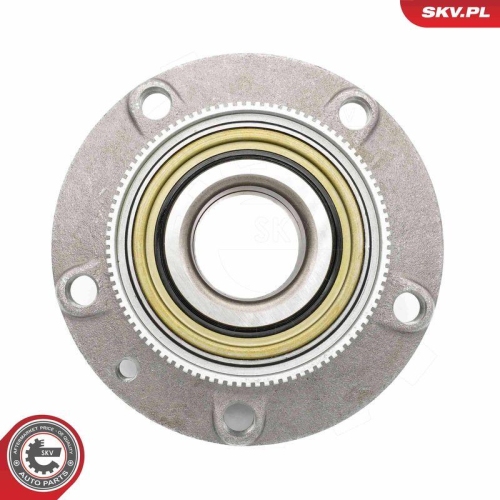 ESEN SKV Radlagersatz