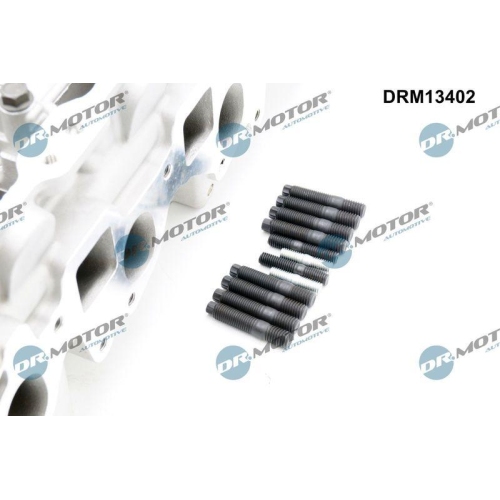Dr.Motor Automotive Zylinderkopf DRM13402