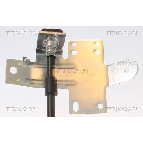 TRISCAN Bremsschlauch 8150 162012