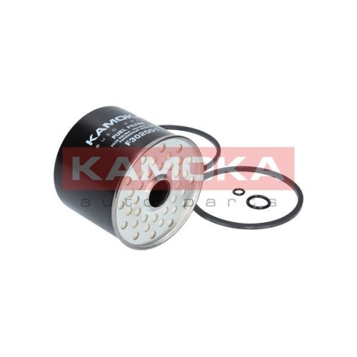 KAMOKA Kraftstofffilter F302001