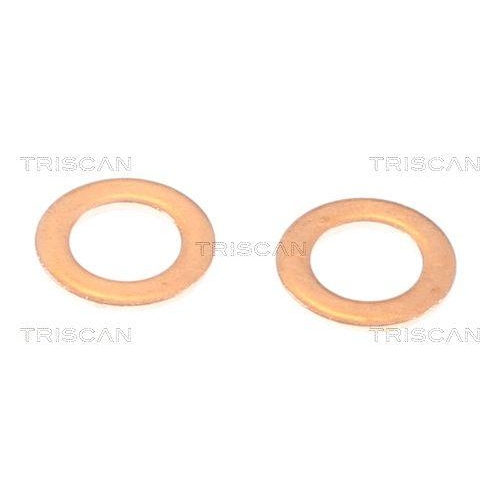 TRISCAN Bremsschlauch 8150 40182