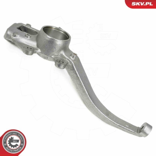 ESEN SKV Achsschenkel, Radaufhängung