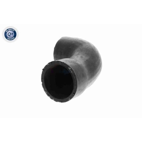 VAICO Ladeluftschlauch Q+, Erstausrüsterqualität V10-3758