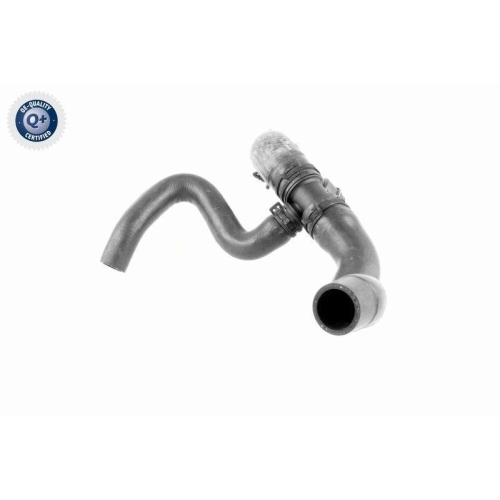 VAICO K&uuml;hlerschlauch Q+, Erstausr&uuml;sterqualit&auml;t