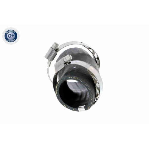 VAICO Ladeluftschlauch Q+, Erstausrüsterqualität V10-3799