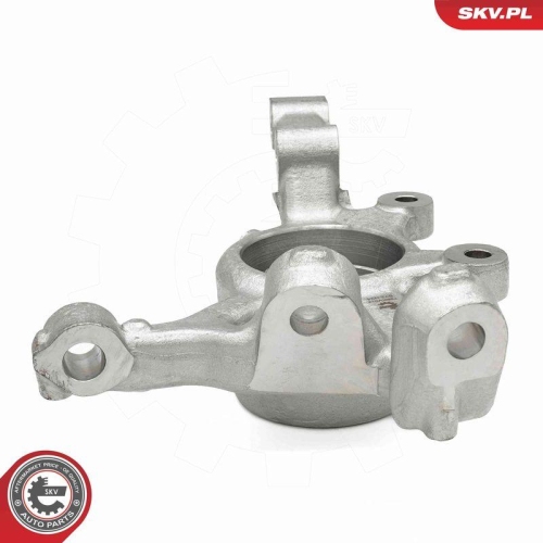 ESEN SKV Achsschenkel, Radaufhängung