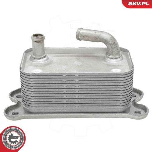 ESEN SKV &Ouml;lk&uuml;hler, Motor&ouml;l 31SKV302