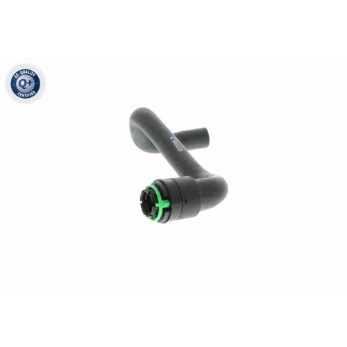 VAICO K&uuml;hlerschlauch Q+, Erstausr&uuml;sterqualit&auml;t V40-1347