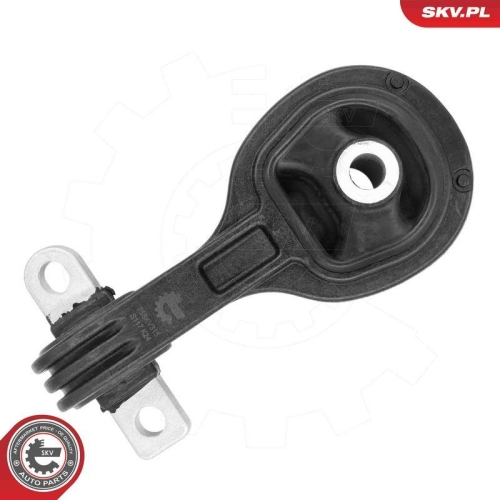 ESEN SKV Lagerung, Motor