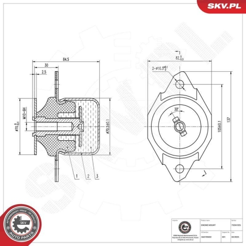 ESEN SKV Lagerung, Motor
