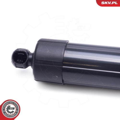 ESEN SKV Elektromotor, Heckklappe 52SKV954