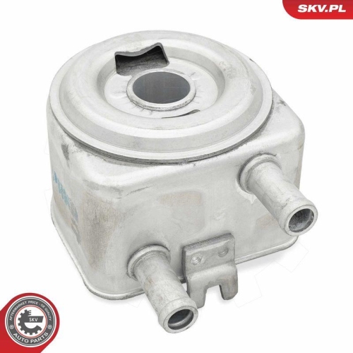 ESEN SKV &Ouml;lk&uuml;hler, Motor&ouml;l 31SKV274