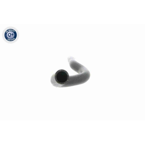 VAICO Kühlerschlauch Q+, Erstausrüsterqualität V20-1704