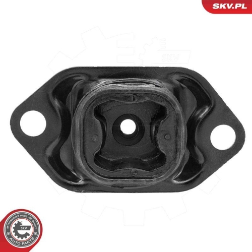 ESEN SKV Lagerung, Schaltgetriebe