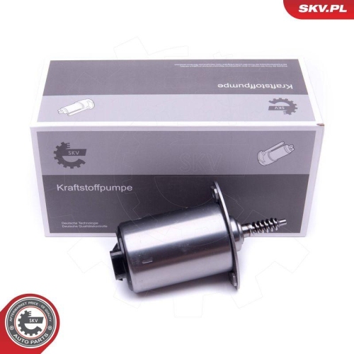 ESEN SKV Stellelement, Exzenterwelle (variabler Ventilhub) 96SKV089