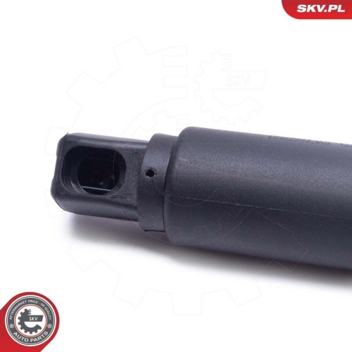 ESEN SKV Elektromotor, Heckklappe 52SKV958