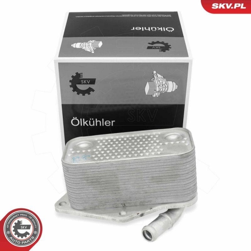 ESEN SKV &Ouml;lk&uuml;hler, Motor&ouml;l 31SKV290