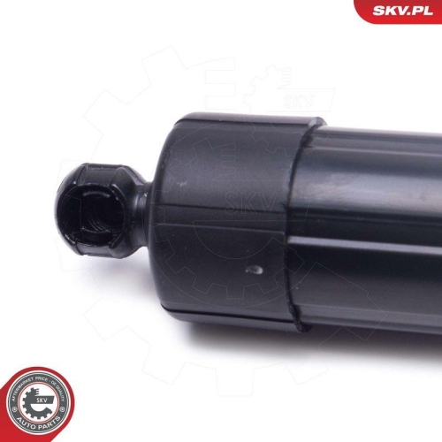 ESEN SKV Elektromotor, Heckklappe 52SKV956