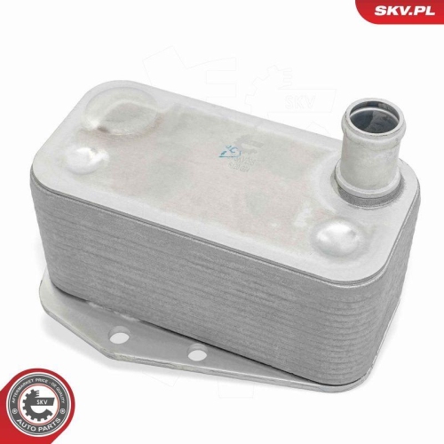 ESEN SKV &Ouml;lk&uuml;hler, Motor&ouml;l 31SKV298