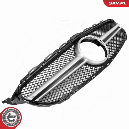 ESEN SKV Kühlergitter