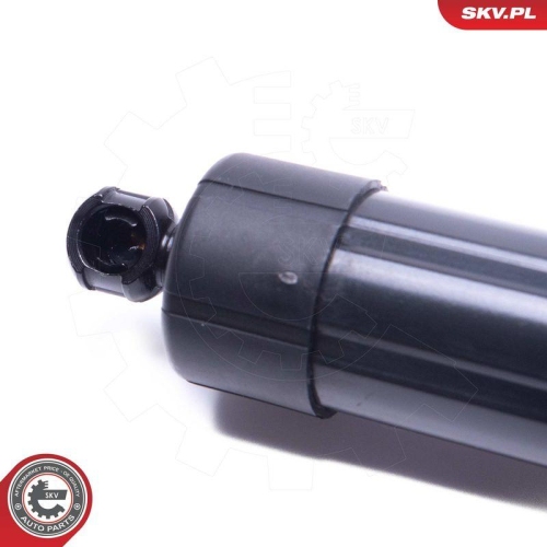 ESEN SKV Elektromotor, Heckklappe 52SKV955